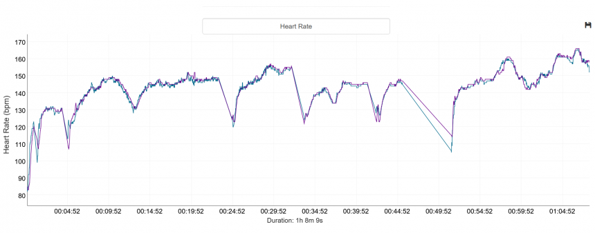 Niebieski – pas piersiowy, fioletowy – Forerunner 165