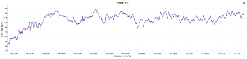 niebieski – Amazfit T-Rex Ultra 2, fioletowy – Garmin HRM Pro Plus