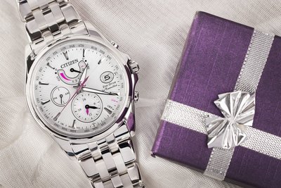 Citizen Elegant Eco-Drive Radio Controlled FC0010-55D