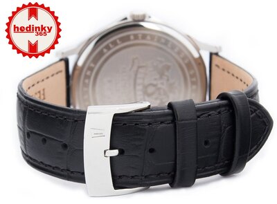 Festina Classic Strap 16745/5