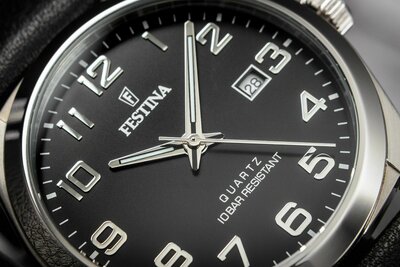 Festina Classic Strap 20446/3