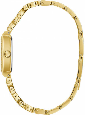 Guess Treasure GW0476L2