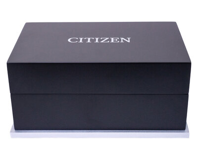 Citizen Series 8 Automatic NA1015-81Z