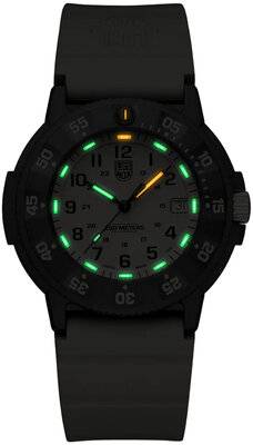Luminox Navy SEAL XS.3010.EVO.S
