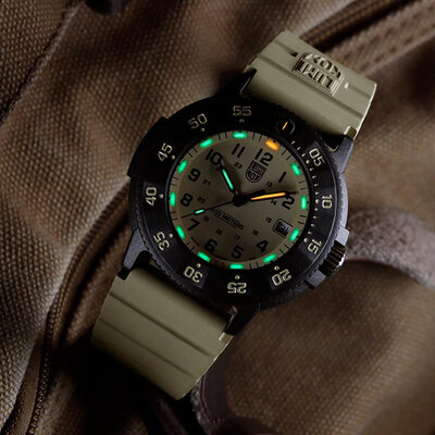 Luminox Navy SEAL XS.3010.EVO.S