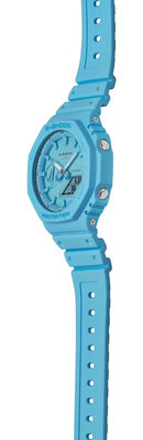 Casio G-Shock Original Tone-on-Tone GA-2100-2A2ER