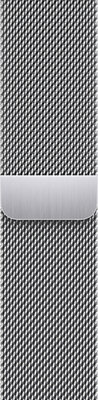 Apple Watch 41mm Silver Milanese Loop