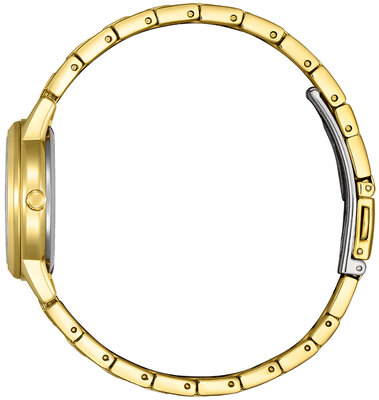 Citizen Elegant Ladies Eco-Drive FE1242-78D