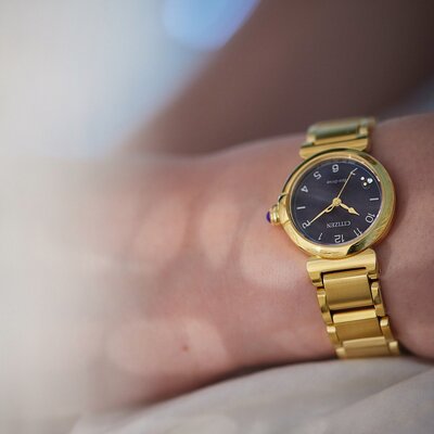 Citizen Elegant Eco-Drive EM1132-88H