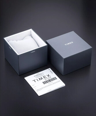 Timex Waterbury TW2Y19200UK