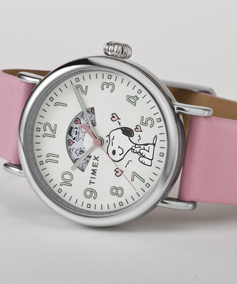Timex Weekender x Peanuts TW2W88900UK