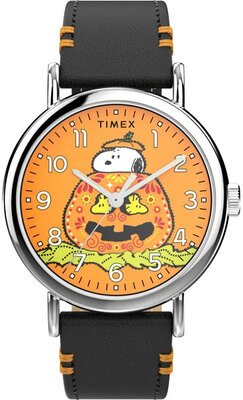 Timex Peanuts TW2Y12300UK