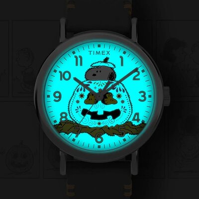 Timex Peanuts TW2Y12300UK