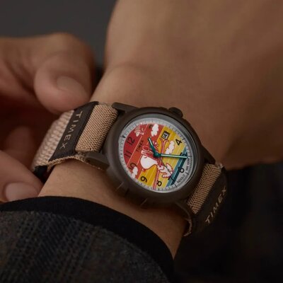 Timex Peanuts TW4B349006B