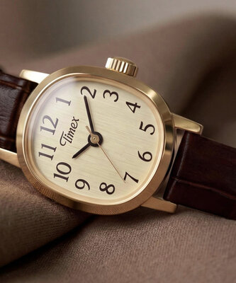 Timex Cavatina Mini TW2Y87700