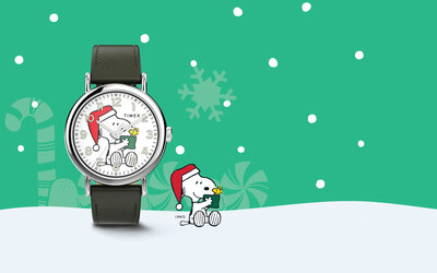 Timex Weekender x Peanuts TW2Y12400UK