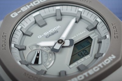 Casio G-Shock Original GA-2110ET-8AER Earth Tone Color Series Carbon Core Guard